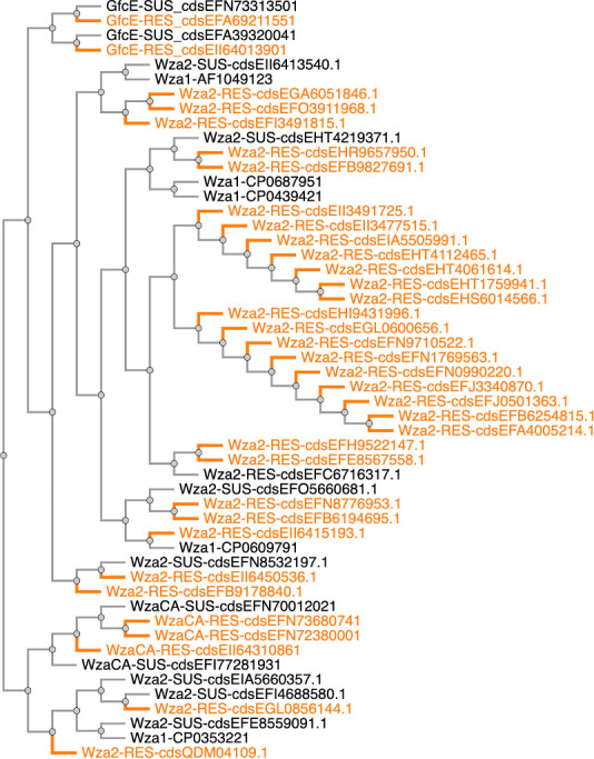 Fig 6