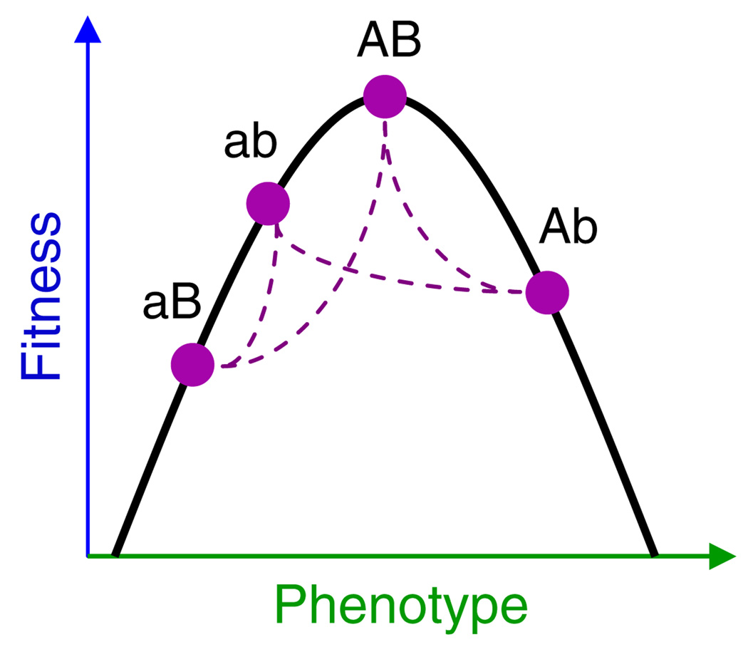 Fig. 1