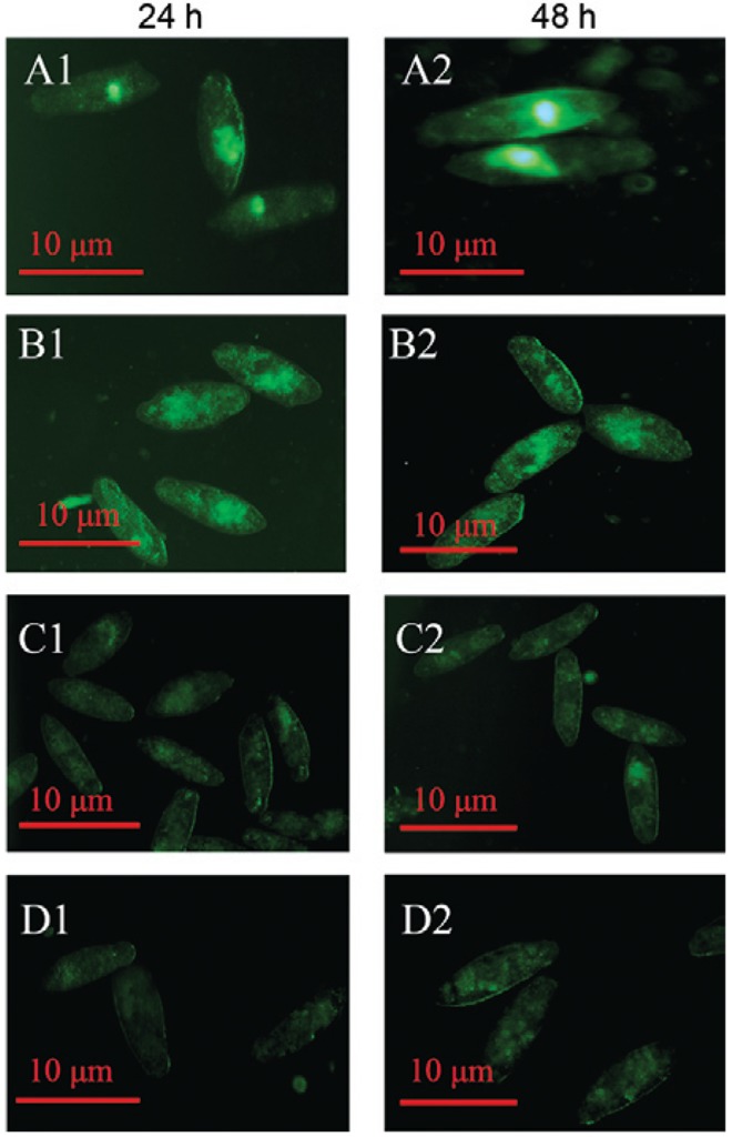 Fig. 6