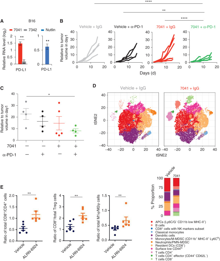 Figure 6. Pharmacologic reactivation of p53 enhanced T-cell infiltration and overcame tumor resistance to PD-1 blockade in vivo. A, Upregulation of PD-L1 expression upon p53 activation by 7041 or nutlin in B16 melanoma, as assayed by qPCR (n = 3). B and C, Tumor growth (B) and endpoint tumor volume (C) of B16 tumors grown in immunocompetent mice treated with vehicle, 7041, anti–PD-1 antibody, or 7041/anti–PD-1 combination. D, tSNE plot depicting 12 identified immune cell populations (panel below). Each plot represents the merged population of two different tumors per treatment. Bar plots are showing the differential proportion of each cell population in tumors treated with vehicle or 7041. E, Increased infiltration of cytotoxic CD8+ T cells and tumor-suppressive M1 macrophages in vivo in colon carcinoma model Colon26 upon treatment with stapled peptide MDM2 inhibitor ALRN-6924, as assessed by flow cytometry. Data are presented as a ratio representing total cell counts where Student t tests (A, E) and one-way ANOVA with Bonferroni correction (C). Error bars, SD. *, P < 0.05; **, P < 0.01.