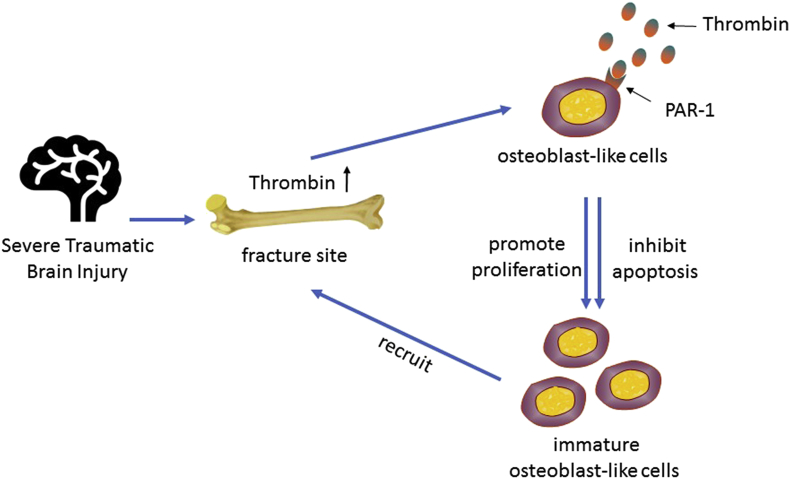 Figure 2