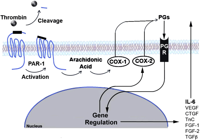 Figure 3