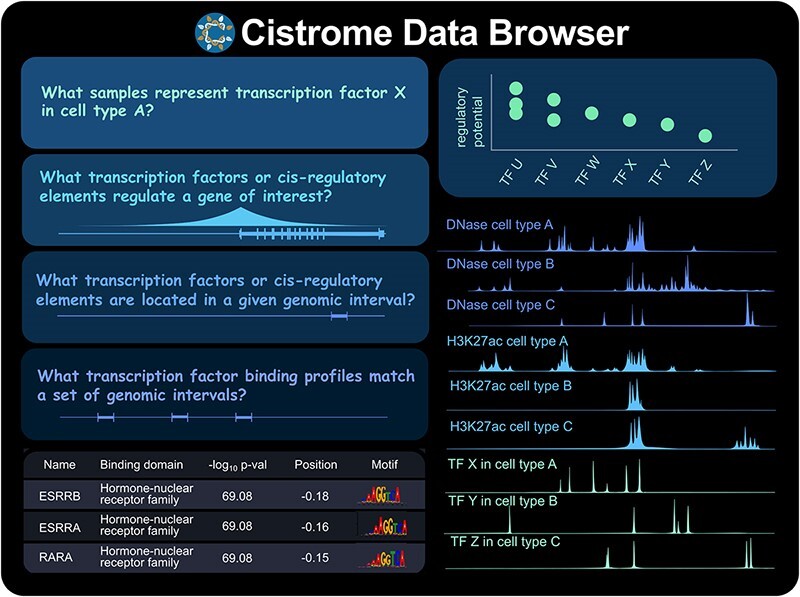 Graphical Abstract