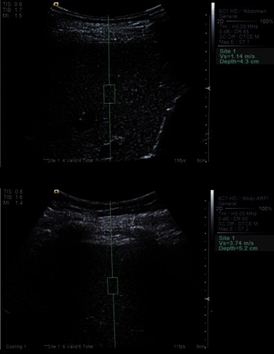 Fig. 9