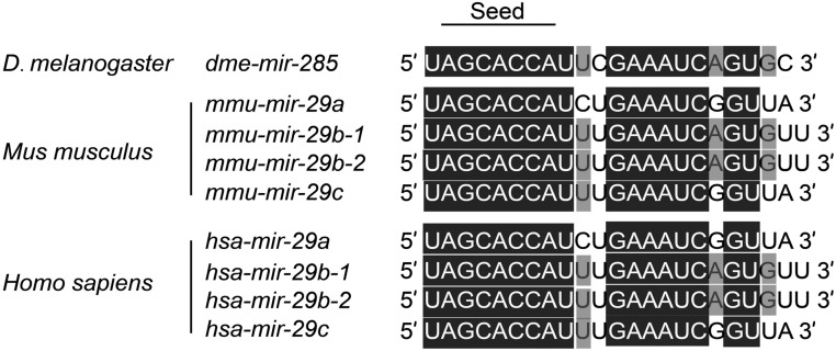 Fig. S13.