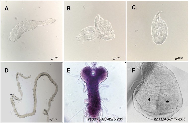 Fig. S1.