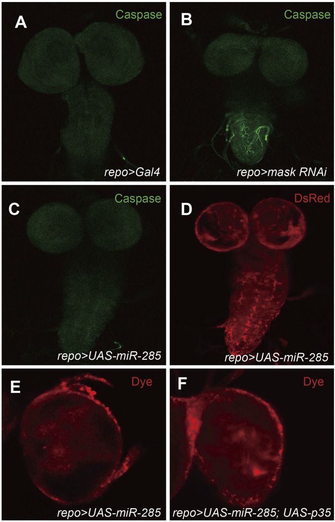 Fig. S12.