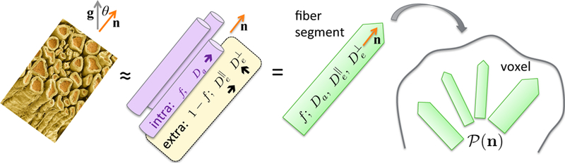 FIG. 8.