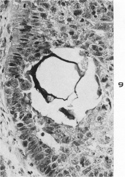 Fig. 9