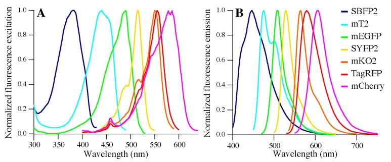 Figure 2