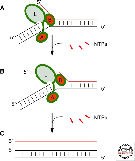 Figure 6.