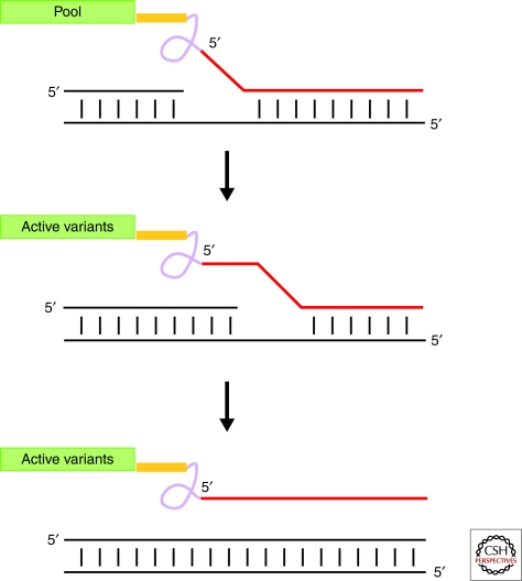 Figure 7.