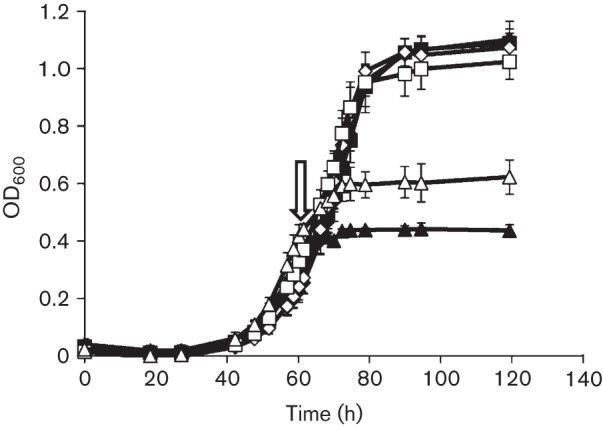 Fig. 5. 