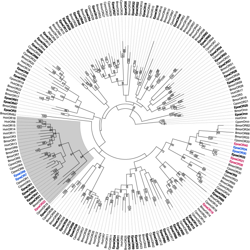 Fig 2