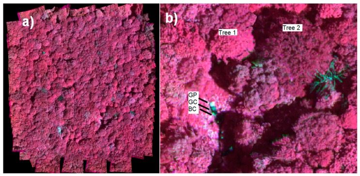 Figure 18