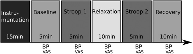 Fig. 1