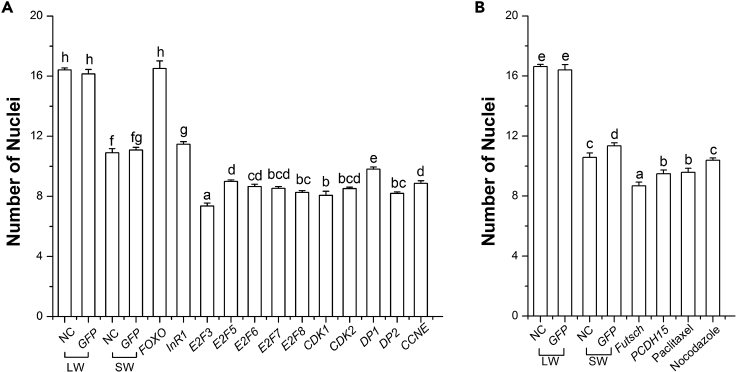 Figure 6