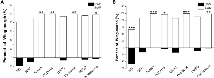 Figure 5