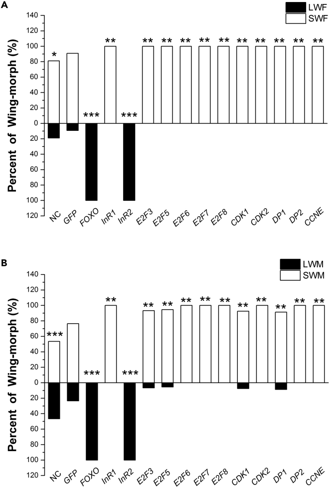 Figure 4