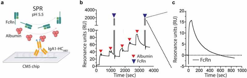 Figure 3.