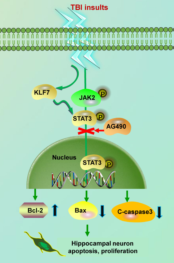 Figure 13