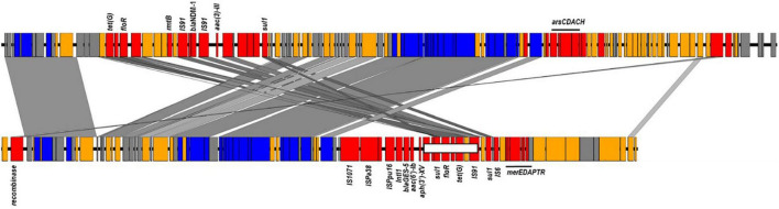 FIGURE 3