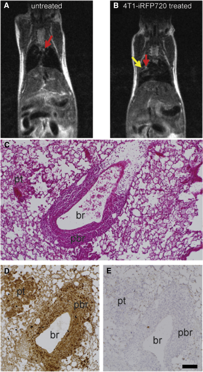 Figure 6