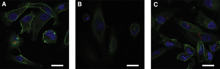 Figure 4