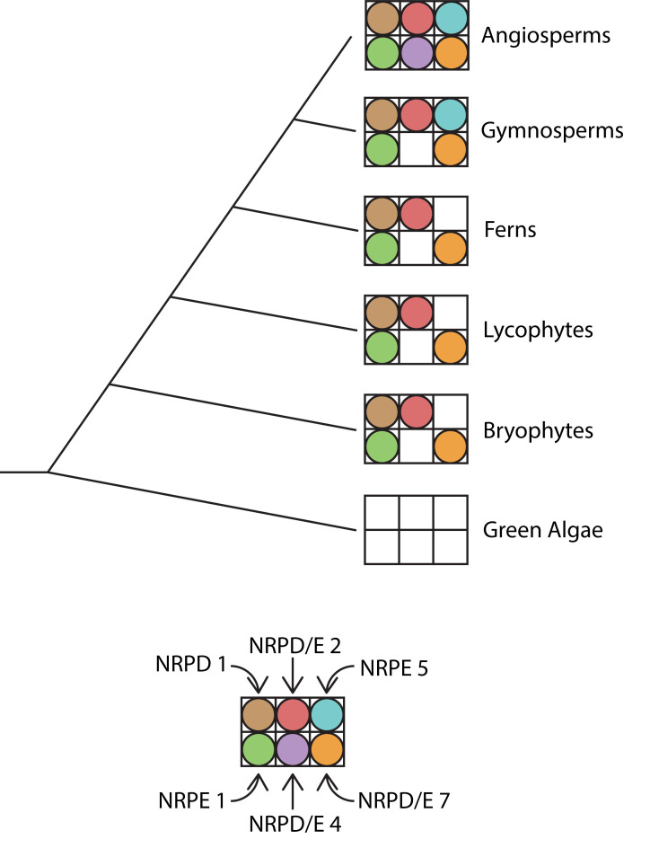 Fig 4