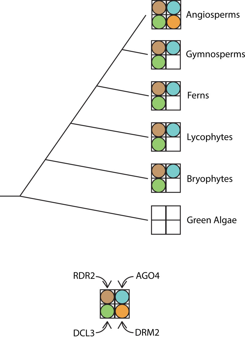 Fig 5