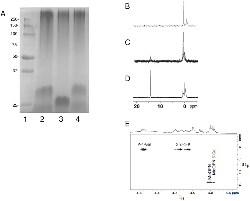 Fig 5