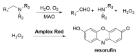 Scheme 5
