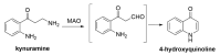 Scheme 4