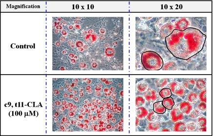 Fig. 2