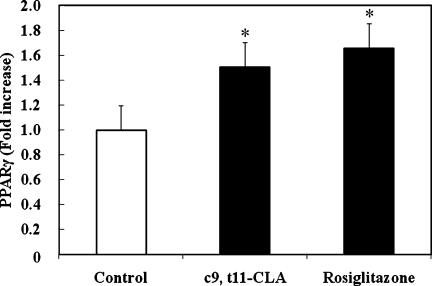 Fig. 6