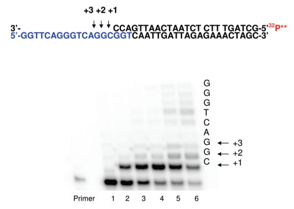 FIGURE 4