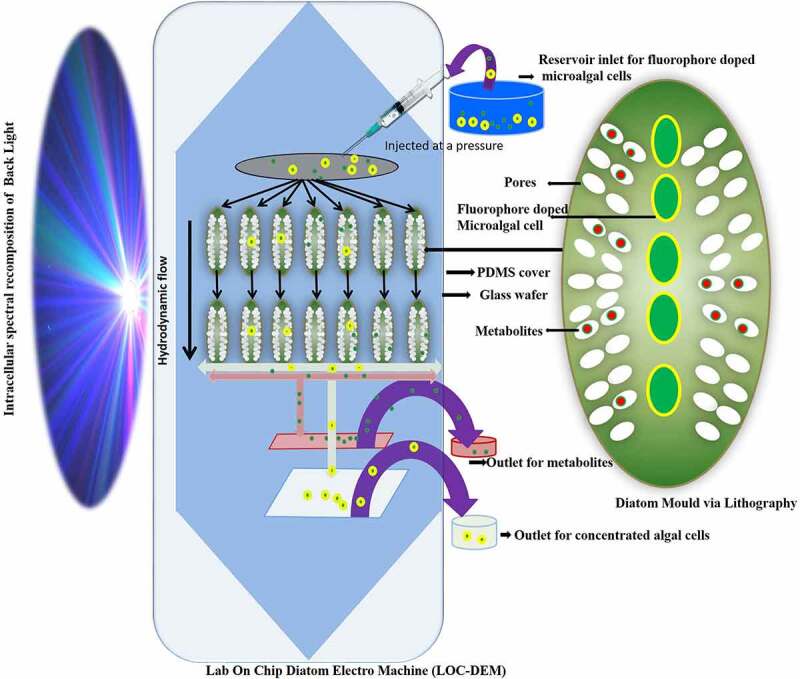 Figure 3.