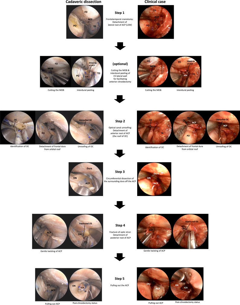 Figure 3