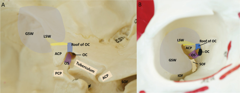 Figure 1