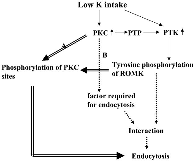 Fig. 9