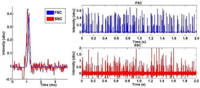 Fig. 2