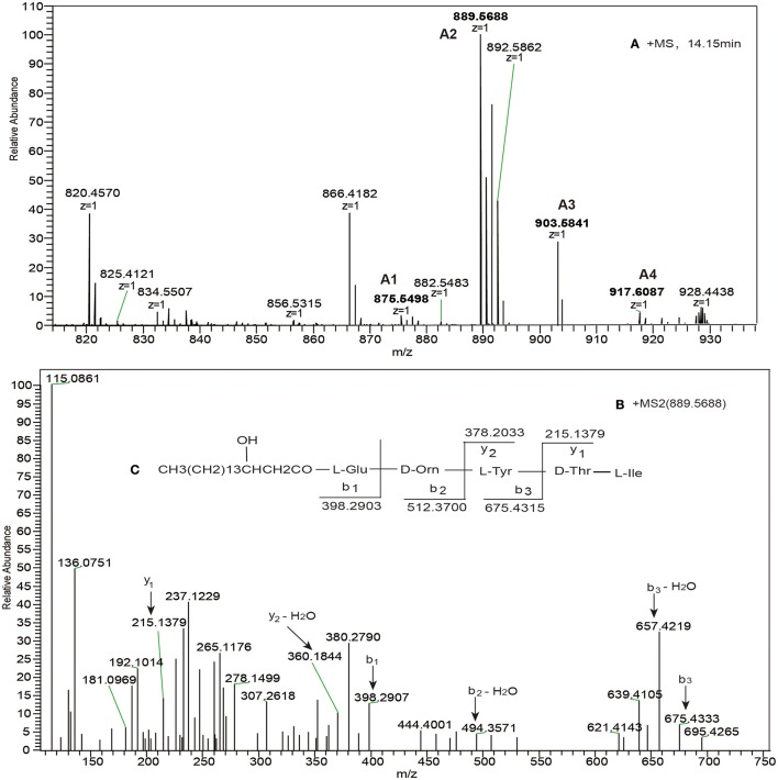 Figure 2