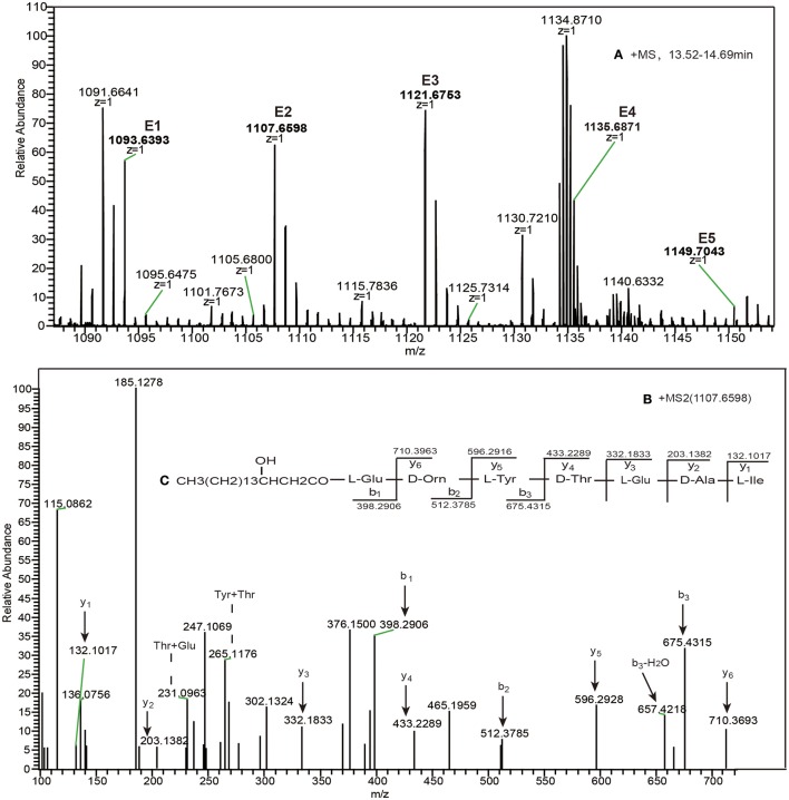 Figure 5