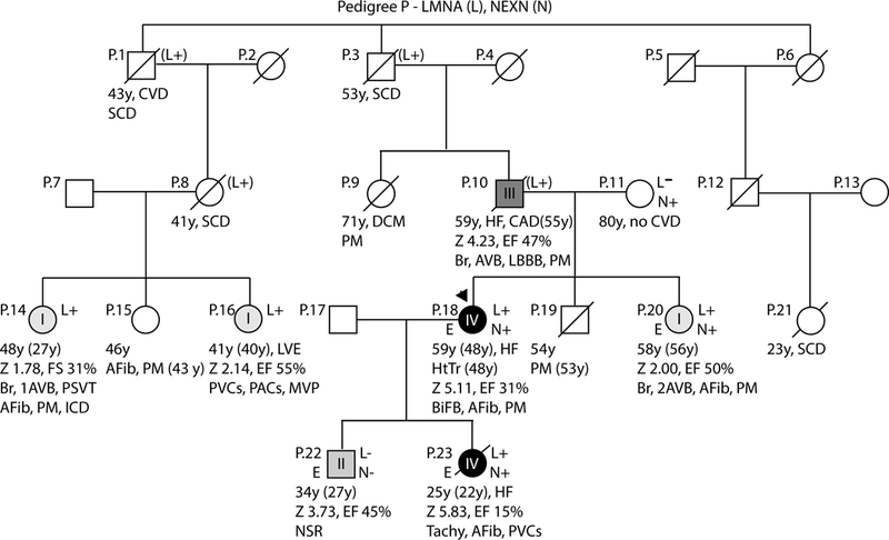 Figure 4: