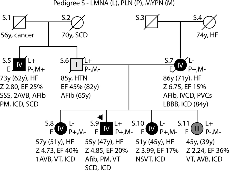 Figure 5: