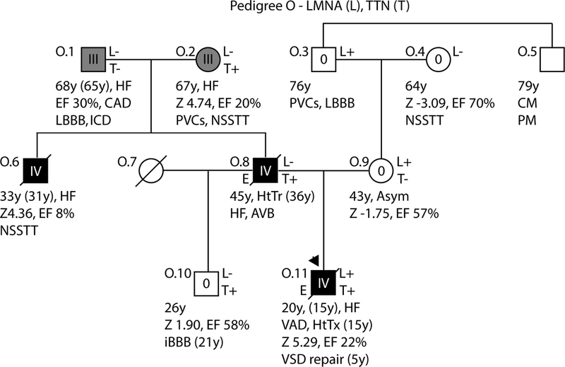 Figure 3: