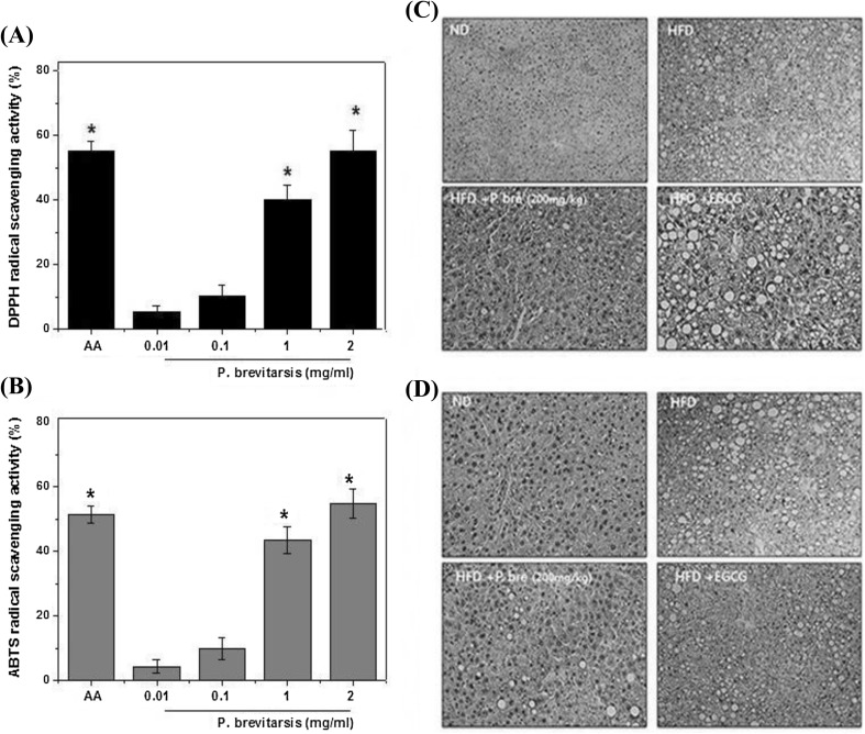 Fig. 4