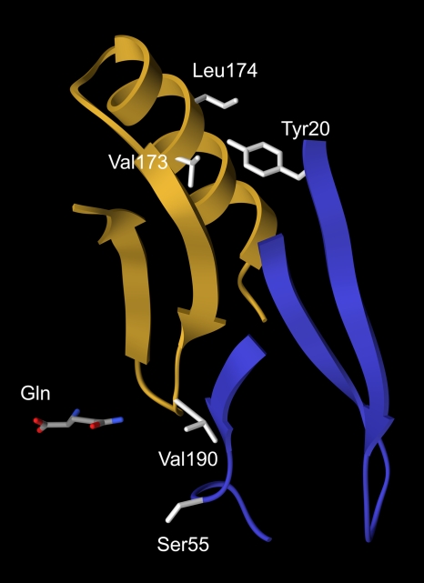 FIG. 3.