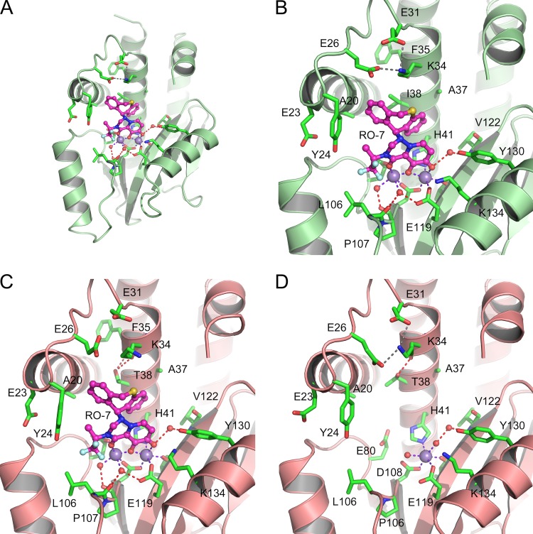 FIG 1 