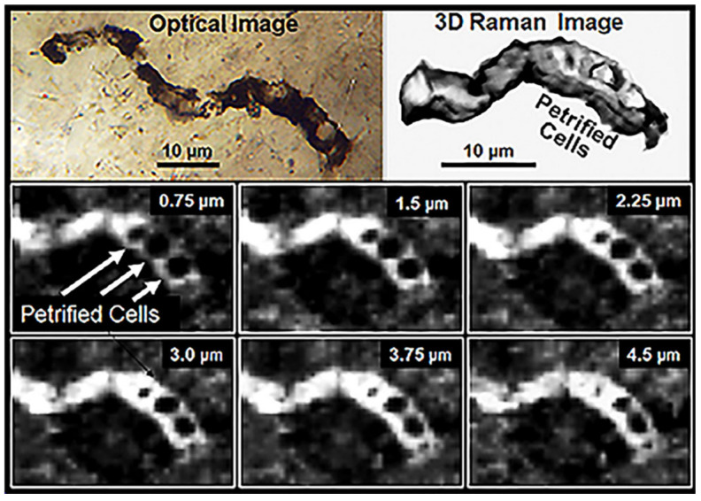 Figure 23